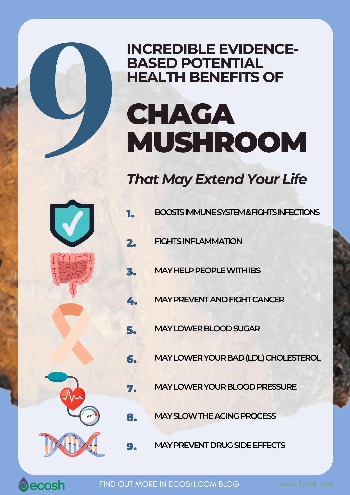 Therapeutic_effects_of_Chaga_Mushroom_Chaga_and_Immune_System_Chaga_and_Inflammation_Chaga_and_Cancer_Alternative_Cancer_Treatment_Herbal_Cancer_Remedies_Natural_Cancer_Treatment