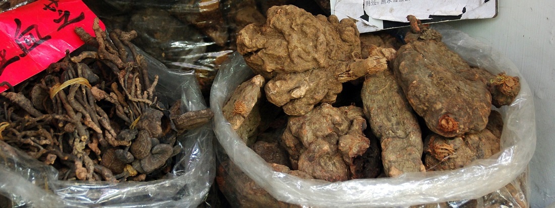 Medicinal_Mushrooms_China_Root_