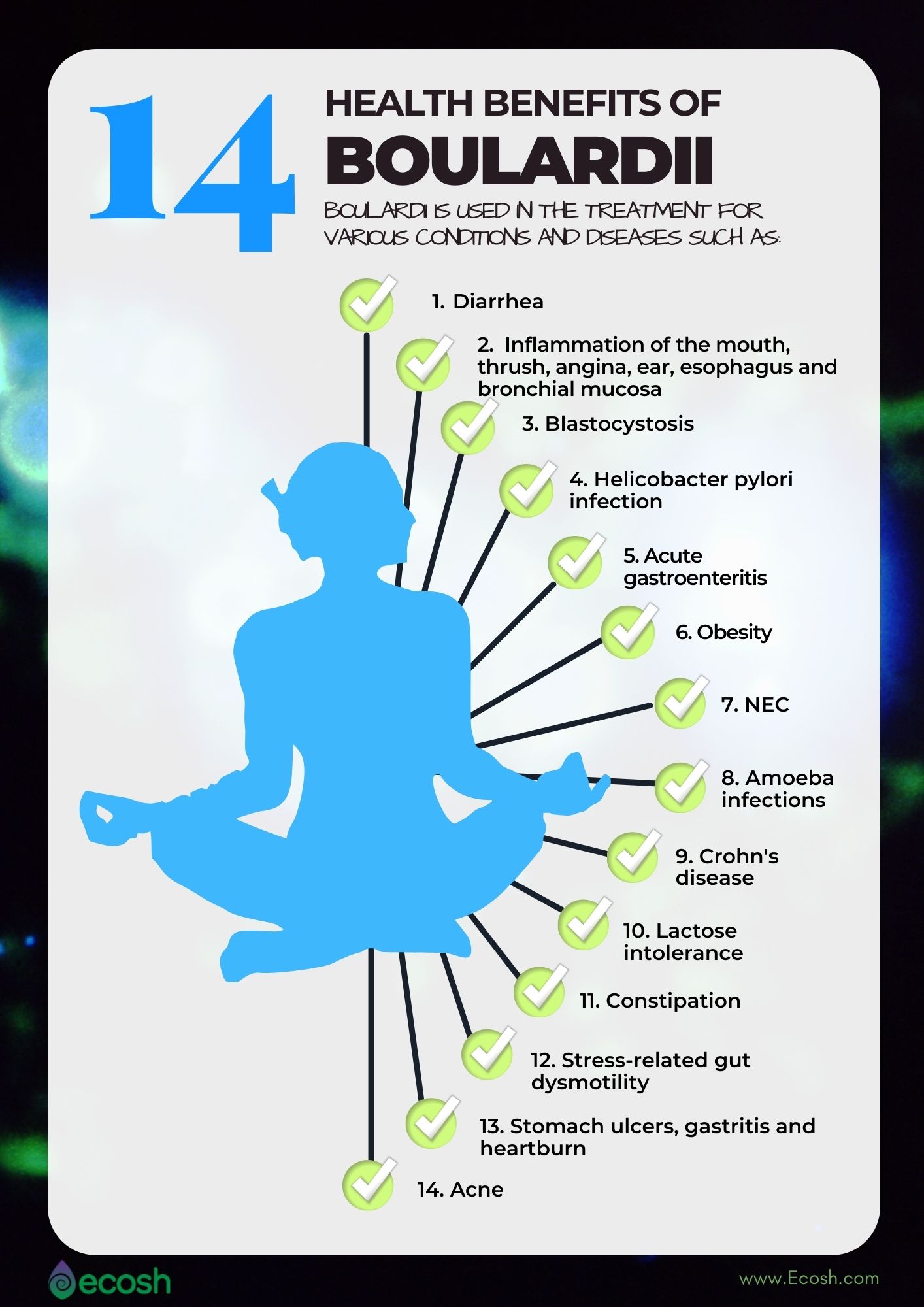 Saccharomyces Boulardii Probiotic: Benefits and Uses in Gut Health • Open  Health Tools