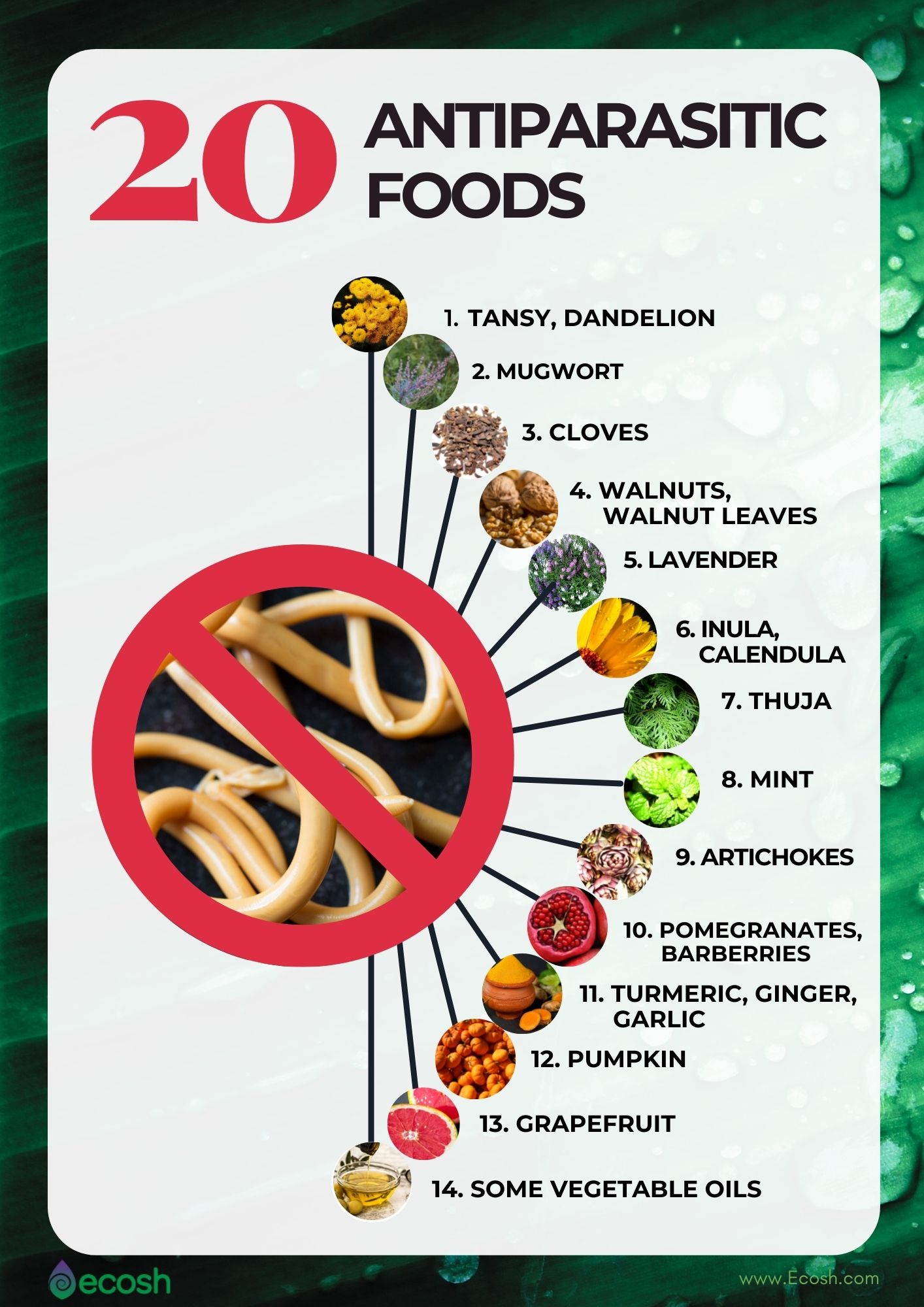 best anti parasitic foods
