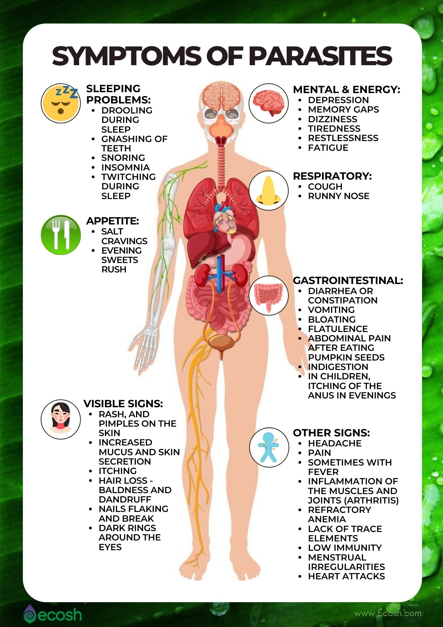 parasites in humans stomach