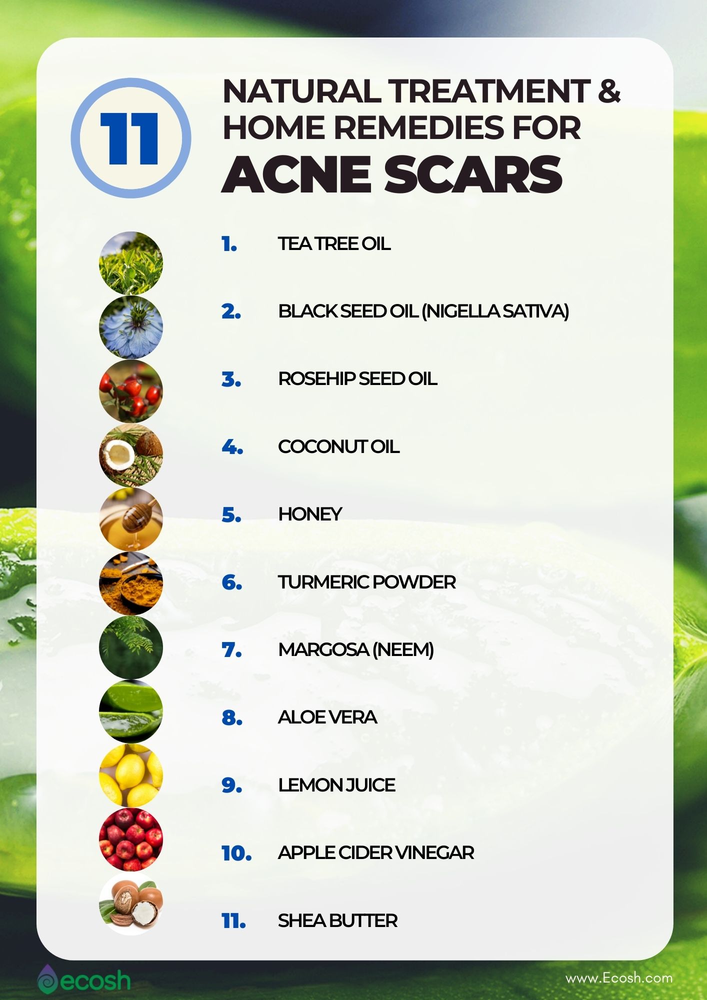 Acne Home Remedies to Stop Pimples in their Tracks – Gold & Grove