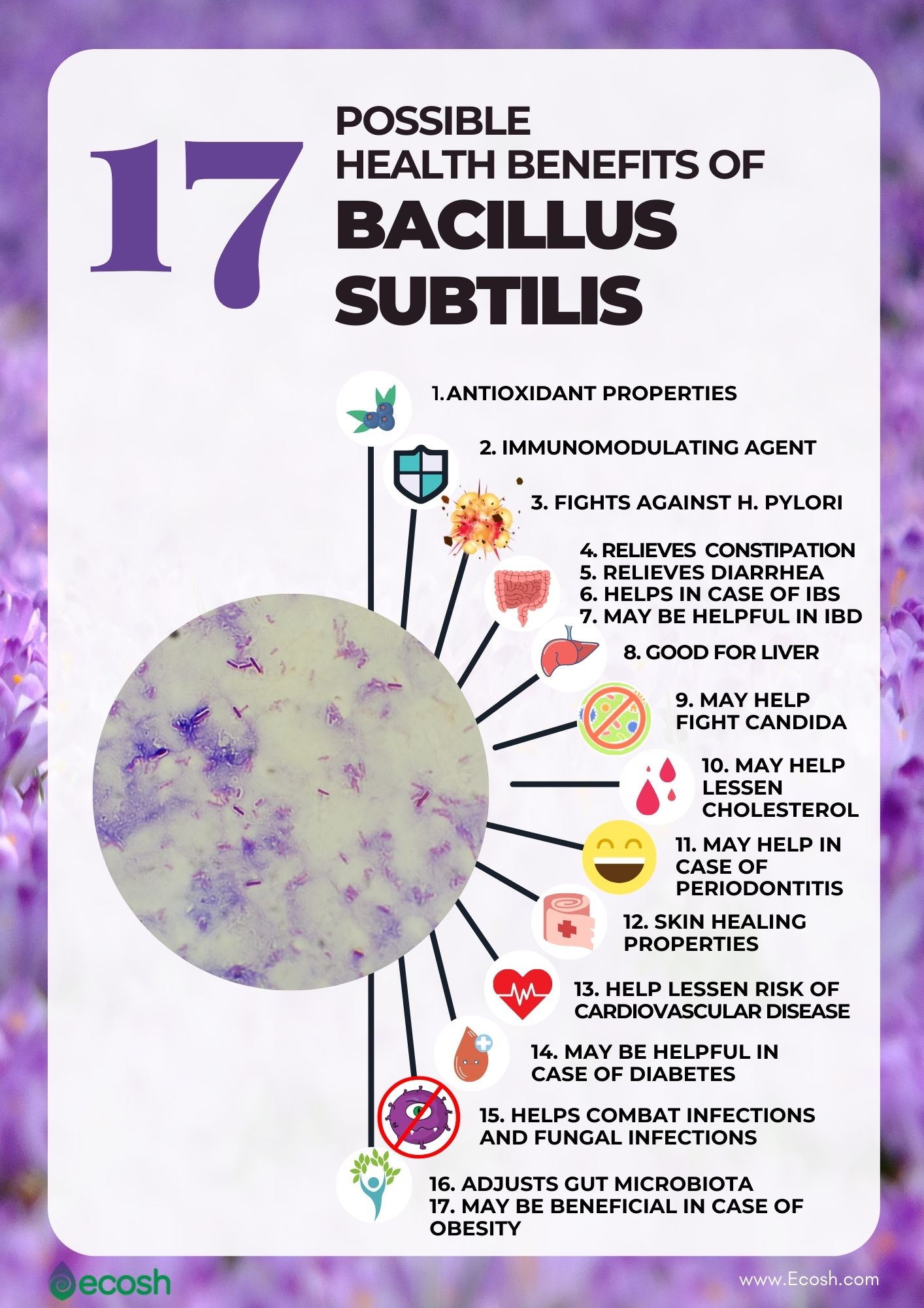 BACILLUS SUBTILIS - 17 Possible Health Benefits Based On Science