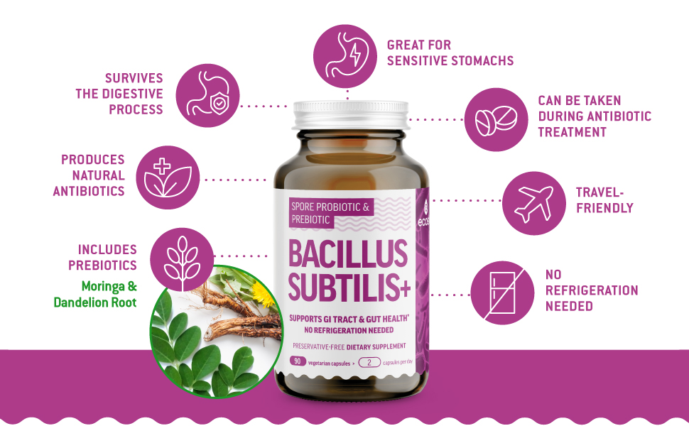 bacillus subtilis benefits