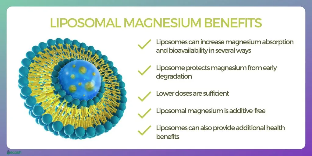 Liposomal_Magnesium_Benefits_Ecosh