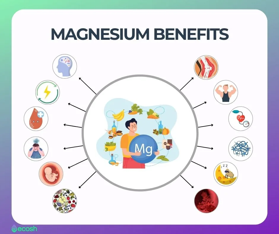 Magnesium_Benefits_Liposomal_Magnesium_Benefits-Ecosh