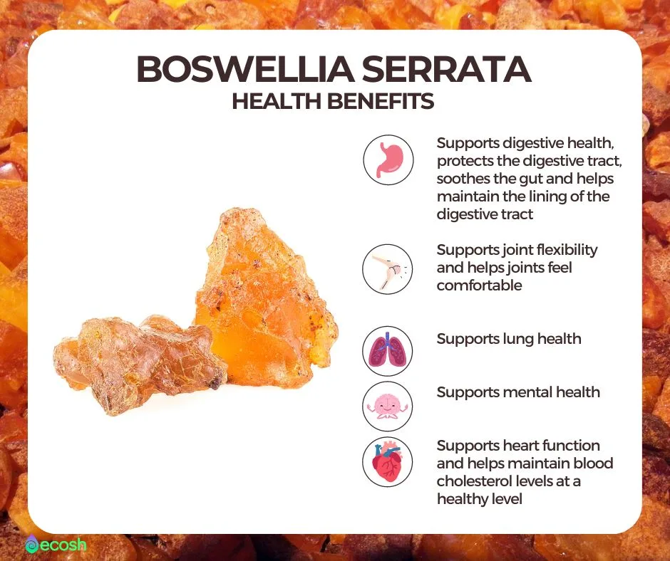 Boswellia_Serrata_Health_Benefits_of_Boswellia_Serrata_or_also_Called_Indian_frankincense-Ecosh